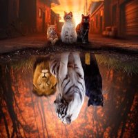 Rhonda Breedlove (@rj_breedlove) 's Twitter Profile Photo Rhonda Breedlove (@rj_breedlove) 's Twitter Profile Photo
