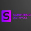 ScriptHub3's profile picture. Welcome to the ScriptHub twitter! I will post updates about my scripts and update you on my schedule. Make sure to follow to stay updated