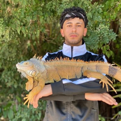 rakzzuno's profile picture. Shining B