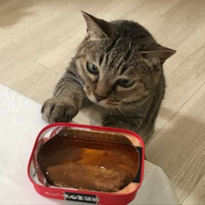 sArAsA55865419's profile picture. 