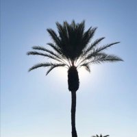 GB (@glennbischoff) 's Twitter Profile
