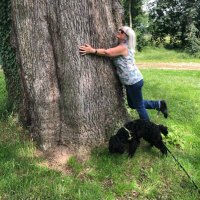 🇪🇺 Susie Howells 🇪🇺 (@susie_howells) 's Twitter Profile