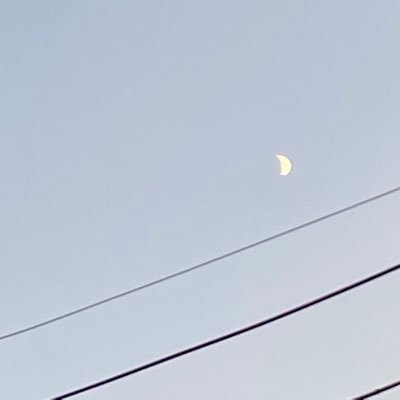 wiswis70's profile image