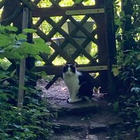 Anupam Gautam (@anupam__gautam) 's Twitter Profile Photo