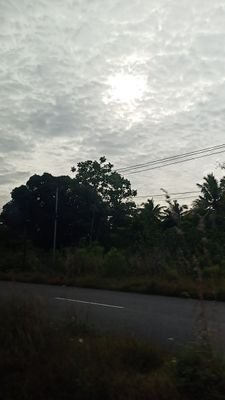 Integtitas Tinggi, Loyal, Salah Bilang Salah, Benar Katakan Benar, Yang Berdosa Diampuni🙏👍