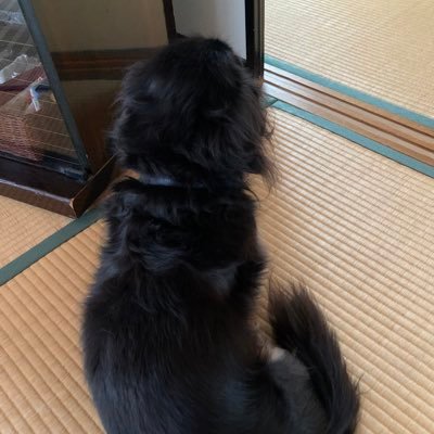 cRHammGOwKsTMpf's profile picture. 男