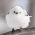 @ja7PuoYZHf9mJrB