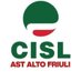 AST CISL Alto Friuli (@AST_CISL_AF) Twitter profile photo