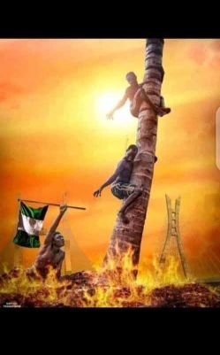 niniolanihinlol's profile picture. Passionate about power generation first prosperous society generators 😍😍😘😘😘and electrifications.😘😘😘😍😍😍😍😍😍😘😘😎