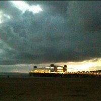 Rachel Walters (@stockywalters) 's Twitter Profile Photo