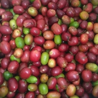 Balbarosa6's profile picture. Cinta