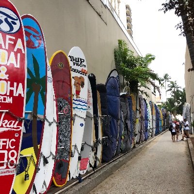 31Kid19's profile picture. 