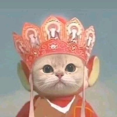 enggapaham's profile picture. pengen pengen punya orang dalem