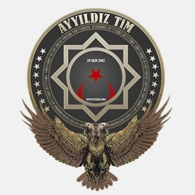 AyyildizTim209 Profile Picture