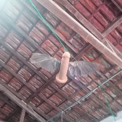 tommylai6405's profile picture. 