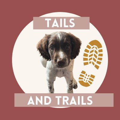 Hi, I’m Bobby an English springer spaniel and along with my companion Paul, we go out and about on many adventures.https://t.co/4JBJ4Irefo