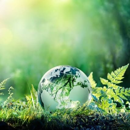 Evamariya14's profile picture. 