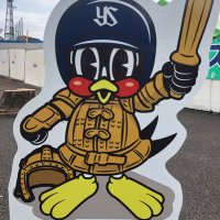 Mikann@ (@mikann4533) 's Twitter Profile