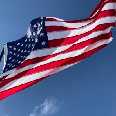 MarkSharpNash's profile picture. 