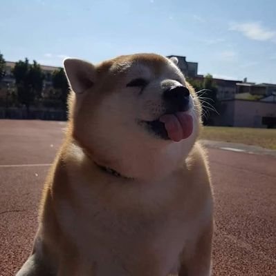 Nightma46707174's profile picture. Hi guys