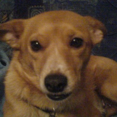 Jako Profile