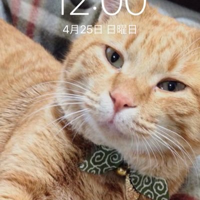 jonRUSTps41's profile picture. 好きなゲームはRUST、R6S、RUSTはやる度になんだこの糞ゲーとなるけど定期的に戻ってきてしまう