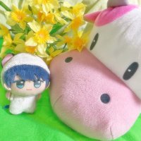 桐乃@取引専用 (@tmtm_mnt) 's Twitter Profile