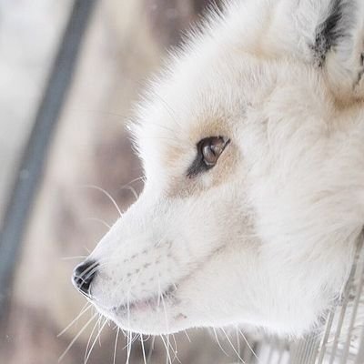 리아🕯さんのプロフィール画像
