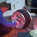 mark stocks - @s100ksy - Twitter