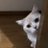 ⌘zappa⌘ADHDに悩む。のアイコン