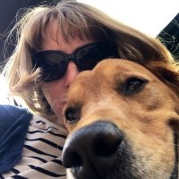 Sharon (@sharonlala24) 's Twitter Profile Photo