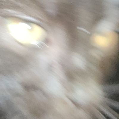 kenejeb508's profile picture. секретарь-референт