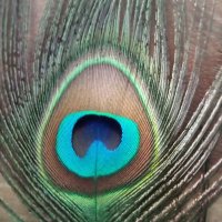 SANTHY (@dakshin75274918) 's Twitter Profile