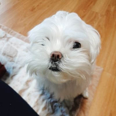 _backbox's profile picture. 종강상자!!