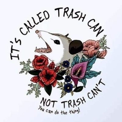 Trash Panda Inc.❤️‍🔥🐗✨🐦‍⬛🎀