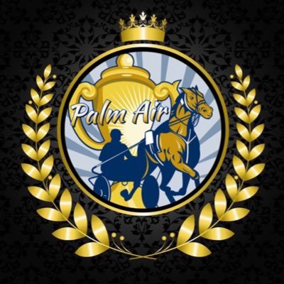 PalmAirStables Profile Picture