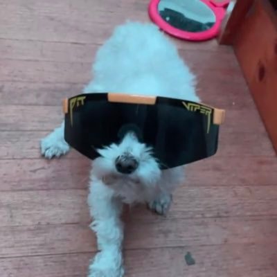 juanheckadied's profile picture. nice tits bro