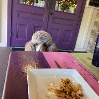 Deborah Morgan (@spoolovecleo) 's Twitter Profile
