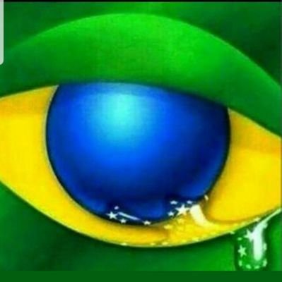 nandomolinari's profile picture. Patriota, cristão, espírita, de direita. Robot é tua avó.