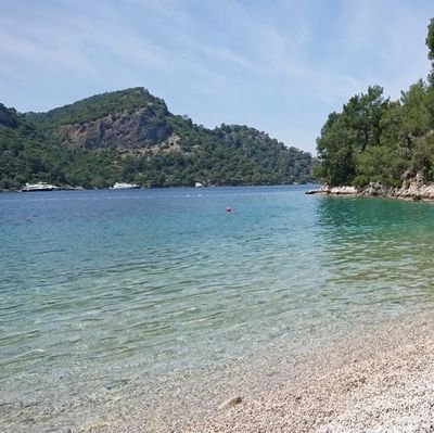 spk_n16's profile picture. 