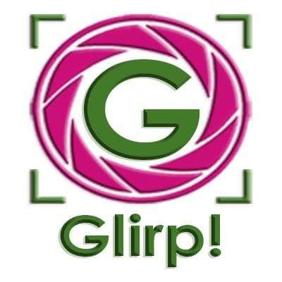 Proyecto GLIRP