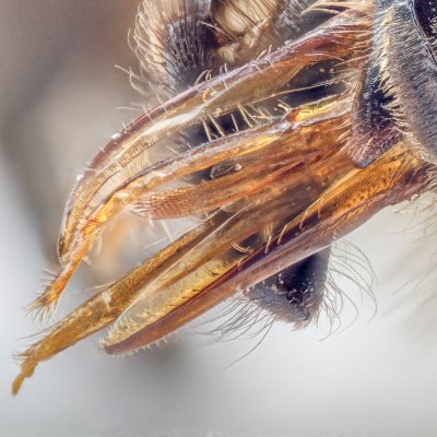 nickw7coc's profile picture. Amateur naturalist, Amateur Photographer, retired railwayman