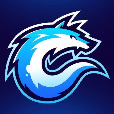 Craxiro's profile picture. 20 🇳🇱 FPS Competitive Player | https://t.co/EuUUTaEf6m Contact: craxirobusiness@gmail.com