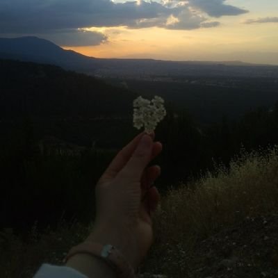 m1ndurm4z's profile picture. 