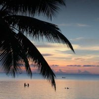 sandrasulayman (@sandrasulayman) Twitter profile photo