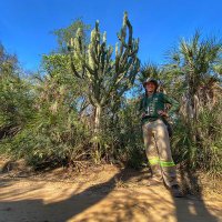 Luis Recalde (@drunken_forest) 's Twitter Profile Photo Luis Recalde (@drunken_forest) 's Twitter Profile Photo