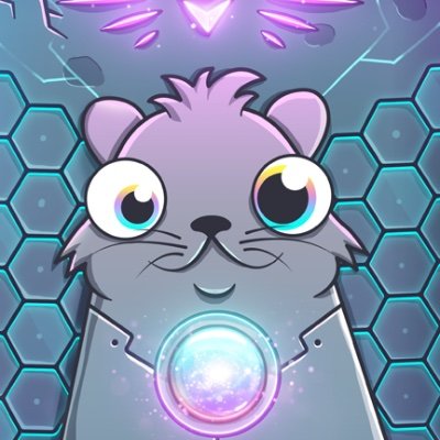 cryptokitto's profile picture. Trader in the making