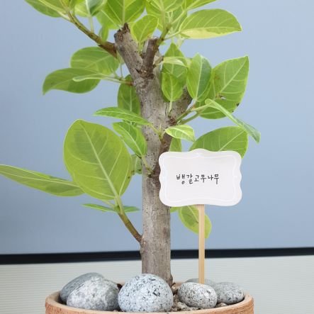 synergynews_'s profile picture. 매일 신문읽는 사람 | 📈

#AI #TSLA #PLTR