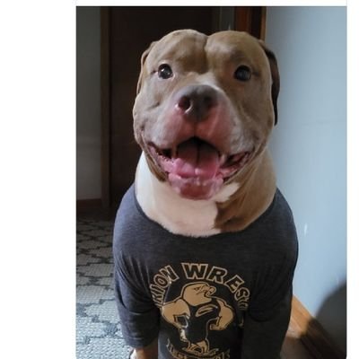 StephanieSchic5's profile picture. A mother's wrestling addiction