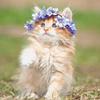 Pili (@pili9059641) 's Twitter Profile Photo